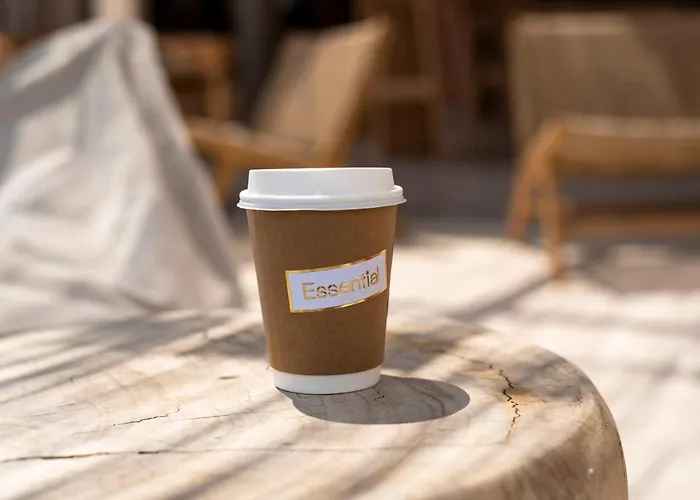 Estival Concept Paliouri